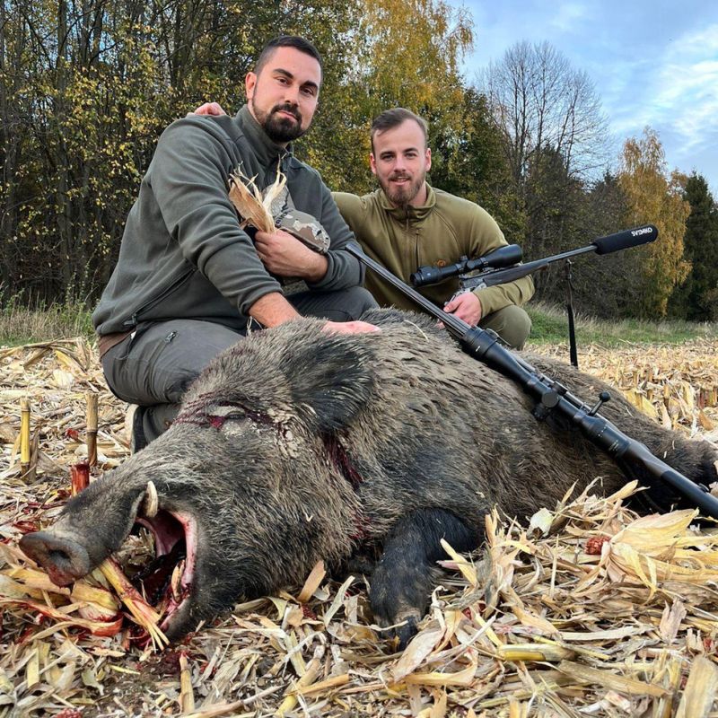Driven hunt